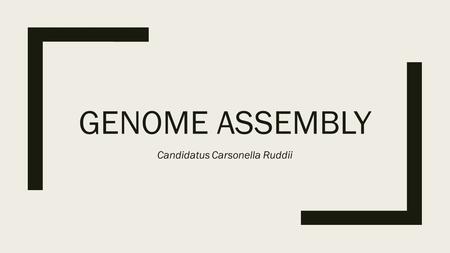 GENOME ASSEMBLY Candidatus Carsonella Ruddii. Problem: How can Eulerian graphs be used to assemble a genomic sequence? ■Real life scenario: multiple copies.