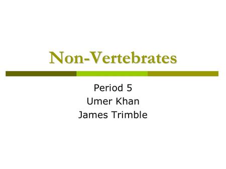 Non-Vertebrates Period 5 Umer Khan James Trimble.