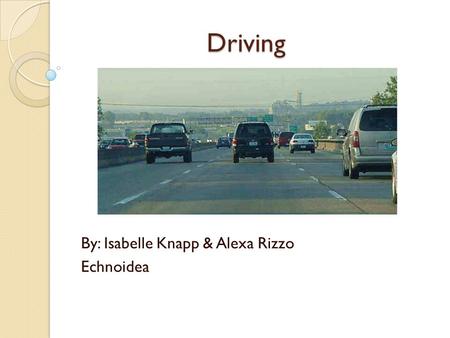 Driving By: Isabelle Knapp & Alexa Rizzo Echnoidea.