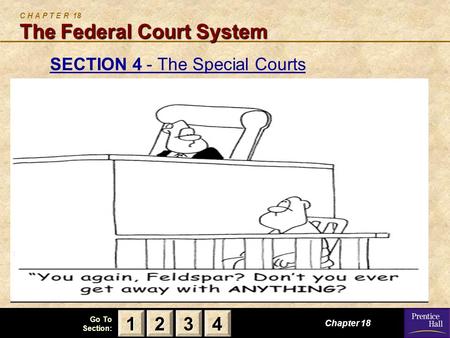 123 Go To Section: 4 The Federal Court System C H A P T E R 18 The Federal Court System SECTION 4- The Special CourtsSECTION 4- The Special Courts Chapter.