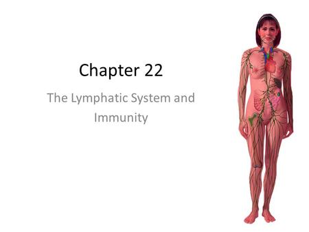 Chapter 22 The Lymphatic System and Immunity. The Lymphatic System A system consisting of lymphatic vessels through which a clear fluid (lymph) passes.