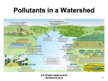 Pollutants in a Watershed