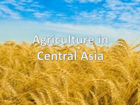 Central Asia: 60% of the population living in rural areas 45% for agriculture employment 25% of GDP on average In Kazakhstan: 8% of GDP on average 33%