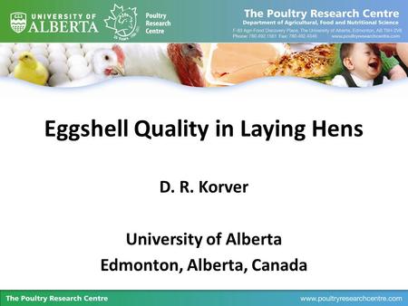 Eggshell Quality in Laying Hens D. R. Korver University of Alberta Edmonton, Alberta, Canada.