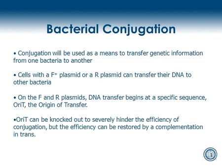 1 Conjugation will be used as a means to transfer genetic information from one bacteria to another Cells with a F + plasmid or a R plasmid can transfer.