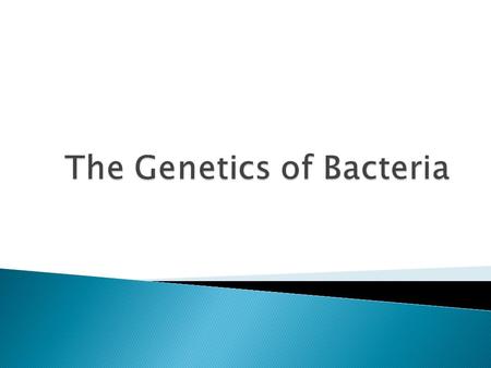 The Genetics of Bacteria