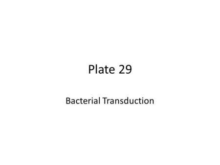 Plate 29 Bacterial Transduction. Genetic Changes 3 ways to alter the DNA within bacteria: – Bacterial transformation Indirect: cell  extracellular fluid.