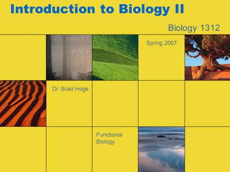 Introduction to Biology II Biology 1312 Dr. Brad Hoge Spring 2007 Functional Biology.