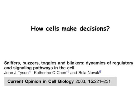 How cells make decisions?. The cell is a (bio)chemical computer Information Processing System Hanahan & Weinberg (2000) External signals outputs.