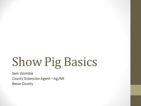 Show Pig Basics Sam Womble County Extension Agent – Ag/NR Bexar County.