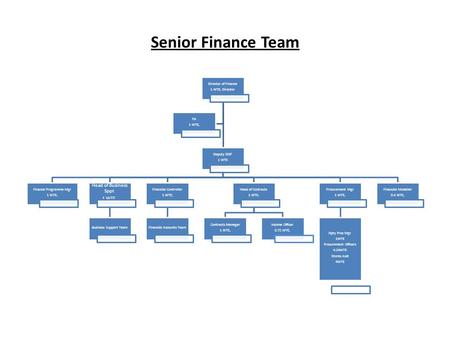 Senior Finance Team Director of Finance 1 WTE, Director Deputy DOF 1 WTE Finance Programme Mgr 1 WTE, Head of Business Sppt 1 WTE, Business Support Team.