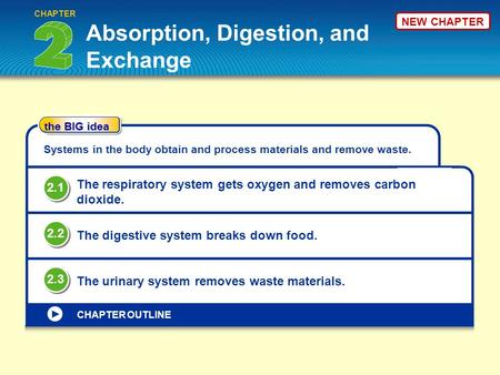 NEW CHAPTER Absorption, Digestion, and Exchange CHAPTER the BIG idea CHAPTER OUTLINE Systems in the body obtain and process materials and remove waste.