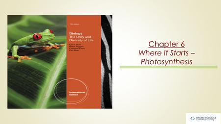 Chapter 6 Where It Starts – Photosynthesis