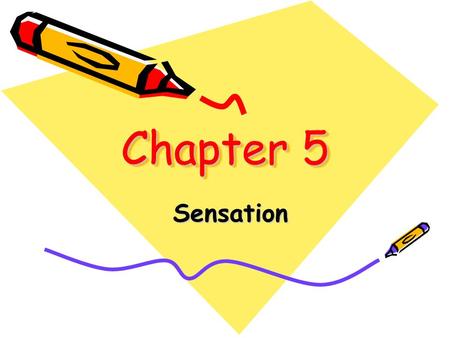 Chapter 5 Sensation. The process by which our sensory receptors and nervous system receive and represent stimulus energies from our environment. sensation.