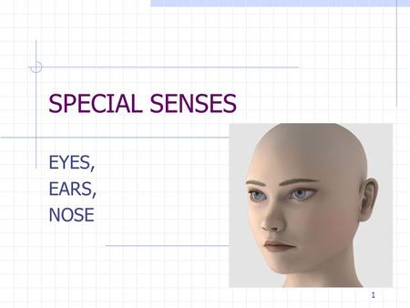 SPECIAL SENSES EYES, EARS, NOSE 1. The Eyes have it!: Lacrimal glands..produce tears to moisten and cleanse the eye Conjunctiva..mucous membrane that.