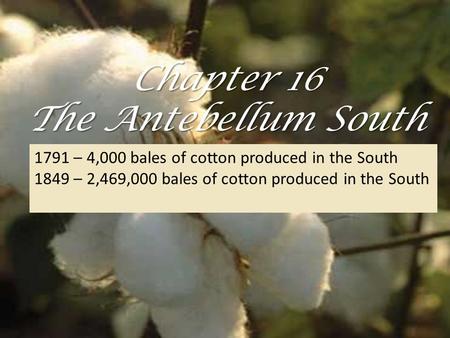 Chapter 16 The Antebellum South 1791 – 4,000 bales of cotton produced in the South 1849 – 2,469,000 bales of cotton produced in the South.