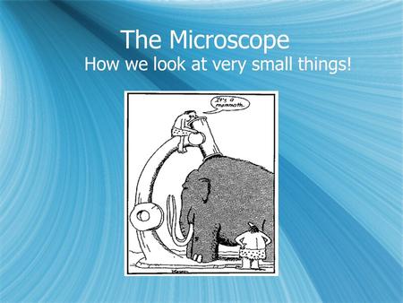 The Microscope How we look at very small things!