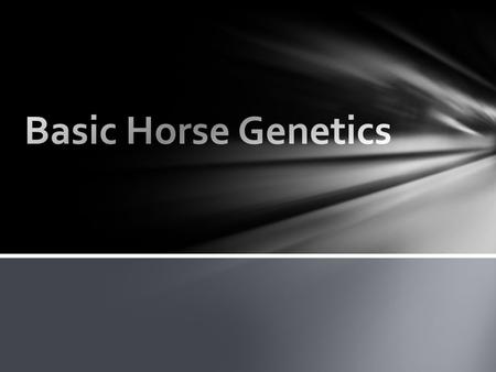 Gene Basic unit of inheritance Carried on the chromosomes in the gametes Eggs from females Sperm from males Provide how animal will look Alleles Different.