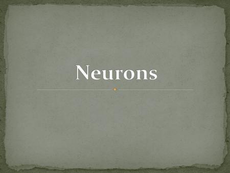 Dendrites: receives Soma: cell body, houses nucleus Nucleus: processes Axon: carries Myelin Sheath: insulates & protects axon Nodes of Ranvier: pinches.