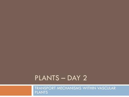 TRANSPORT MECHANISMS WITHIN VASCULAR PLANTS