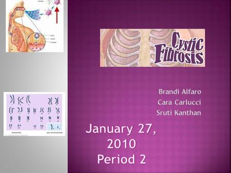 CCystic Fibrosis is an inherited chronic disease IIt affects the lungs and digestive system SSymptoms IIt clogs the lungs with phlegm and causes.