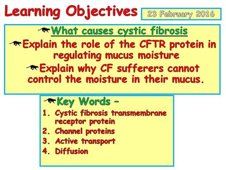 How cystic fibrosis affects the lungs Symptoms: Severe coughing - to remove excess mucus. Breathlessness - shortage of oxygen increases tiredness and.