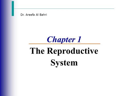 Dr. Areefa Al Bahri Chapter 1 The Reproductive System.