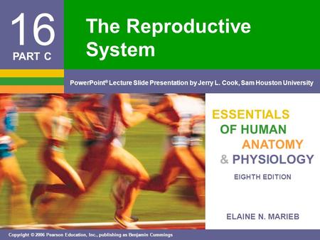 ELAINE N. MARIEB EIGHTH EDITION 16 Copyright © 2006 Pearson Education, Inc., publishing as Benjamin Cummings PowerPoint ® Lecture Slide Presentation by.