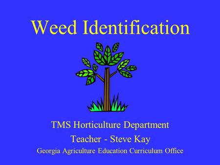 Weed Identification TMS Horticulture Department Teacher - Steve Kay Georgia Agriculture Education Curriculum Office.