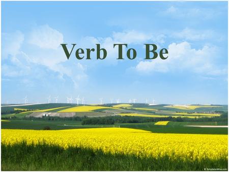 Verb To Be. I’m single. I’m 30. My name is Lisa. I’m American. I’m from Chicago. I’m an executive assistant. My father is a college professor and my mother.