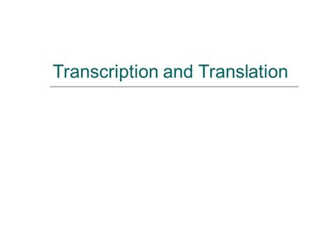 Transcription and Translation. Central Dogma of Molecular Biology  The flow of information in the cell starts at DNA, which replicates to form more DNA.