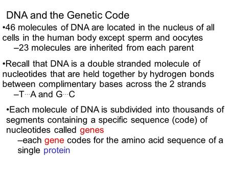 DNA and the Genetic Code 46 molecules of DNA are located in the nucleus of all cells in the human body except sperm and oocytes –23 molecules are inherited.