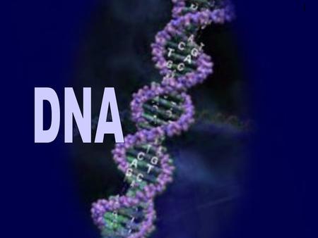 1. REMEMBER 4 Basic Macromolecules Proteins-amino acids Nucleotides-DNA strands Carbohydrates-Monosacchrides Lipids-Fatty Acids.