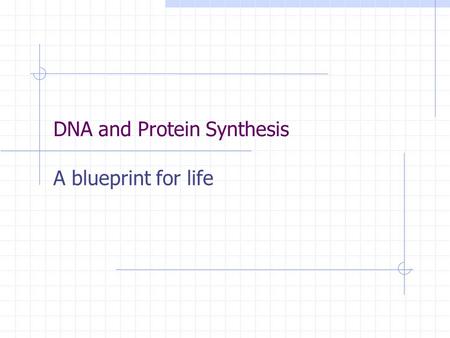 DNA and Protein Synthesis A blueprint for life. Protein Synthesis is divided into 2 parts in Eukaryotes:Transcription and Translation Transcription is.