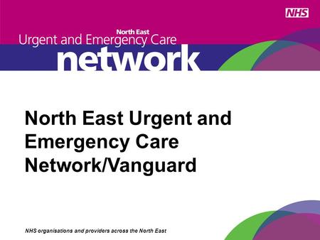 North East Urgent and Emergency Care Network/Vanguard NHS organisations and providers across the North East.