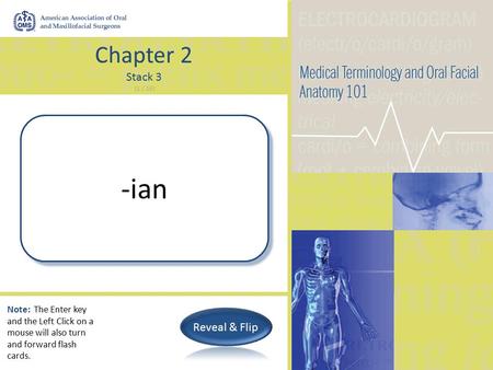 Chapter 2 Stack 3 (1 / 16) Specialist -ian Note: The Enter key and the Left Click on a mouse will also turn and forward flash cards.