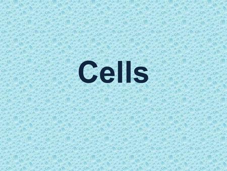 Cells.