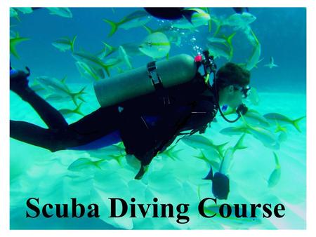 Scuba Diving Course. 146 Plains Road Raymond, ME 04071 On-Site Tel: 207-655-4878 Fax: 207-655-4878.