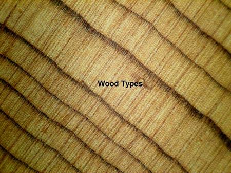 Wood Types. Coniferous Diffuse Porous Ring Porous.