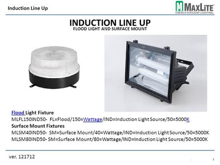 ENERGY EFFICIENT LIGHTING INDUCTION LINE UP FLOOD LIGHT AND SURFACE MOUNT Flood Flood Light Fixture MLFL150IND50- FL=Flood/150=Wattage/IND=Induction Light.