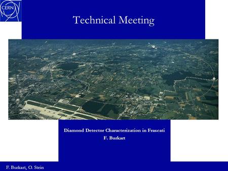 Technical Meeting Diamond Detector Characterization in Frascati F. Burkart F. Burkart, O. Stein.