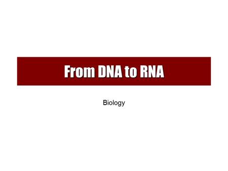 From DNA to RNA Biology. Do you remember what proteins are made of ? Hundreds of Amino Acids link together to make one Protein There are 20 types of amino.