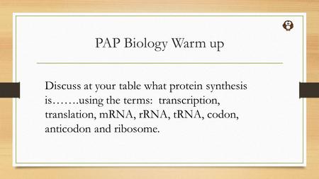 PAP Biology Warm up Discuss at your table what protein synthesis is…….using the terms: transcription, translation, mRNA, rRNA, tRNA, codon, anticodon and.