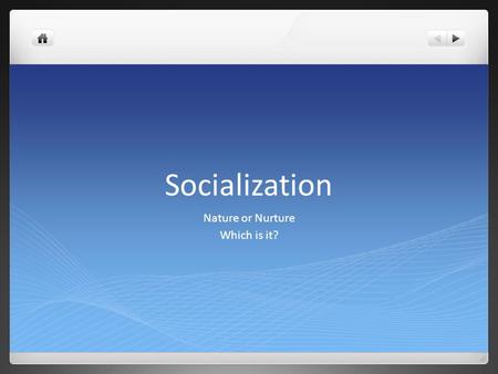 Socialization Nature or Nurture Which is it?. Essential Questions: What purpose does socialization serve? How do individuals develop a sense of self?