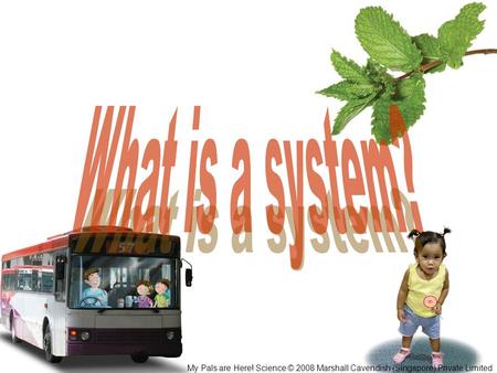 What is a system? My Pals are Here! Science © 2008 Marshall Cavendish (Singapore) Private Limited.