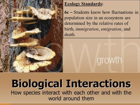 Biological Interactions How species interact with each other and with the world around them Ecology Standards: 6c ~ Students know how fluctuations in population.