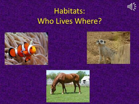 Habitats: Who Lives Where? Click to move forward Click to move back Click to go to habitats page.