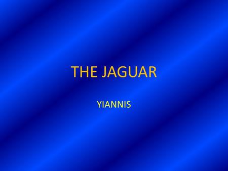 THE JAGUAR YIANNIS CONTENTS  A FEW WORDS ABOUT THE JAGUAR  PICTURES  QUIZ  YOUR MARK IN THE QUIZ.