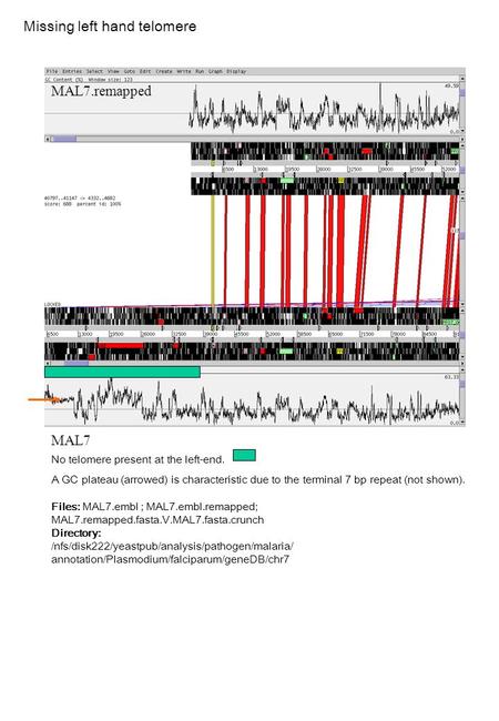 MAL7 MAL7.remapped No telomere present at the left-end. A GC plateau (arrowed) is characteristic due to the terminal 7 bp repeat (not shown). Files: MAL7.embl.