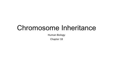 Chromosome Inheritance